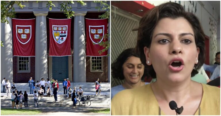 Harvard Has No School Of Journalism Or Professors Of Journalism, Clarifies Its Lab Director After Nidhi Razdan Fiasco