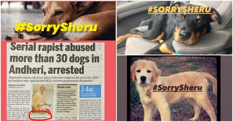 #SorrySheru Becomes India’s Top Trend After Netizens Protest Rape Of 30 Dogs By Mumbai Man Ahmed Shahi